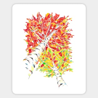 Dazzling fall colors on birch trees Magnet